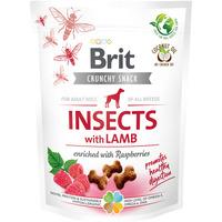 Brit Care Crunchy Cracker Insects, lam & hindbær - 200 g