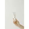 Beauty of Joseon Relief Sun: Rice + Probiotics - 50 ml.
